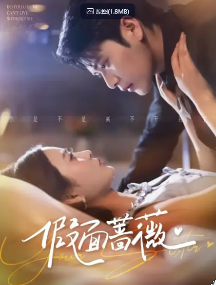 换个身份过一周海报